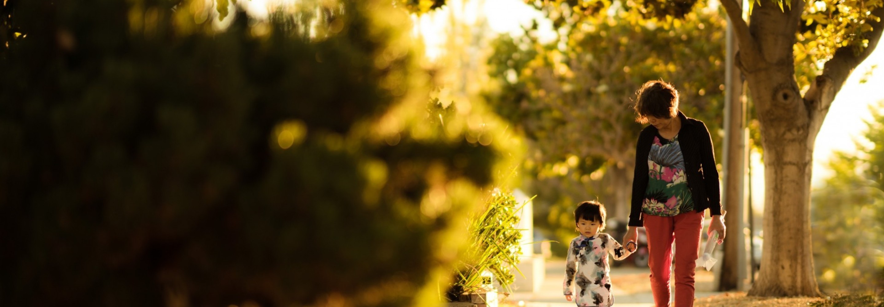 A mother holds hands with a toddler. They walk down a sidewalk with bushes and trees on either side of the sidewalk