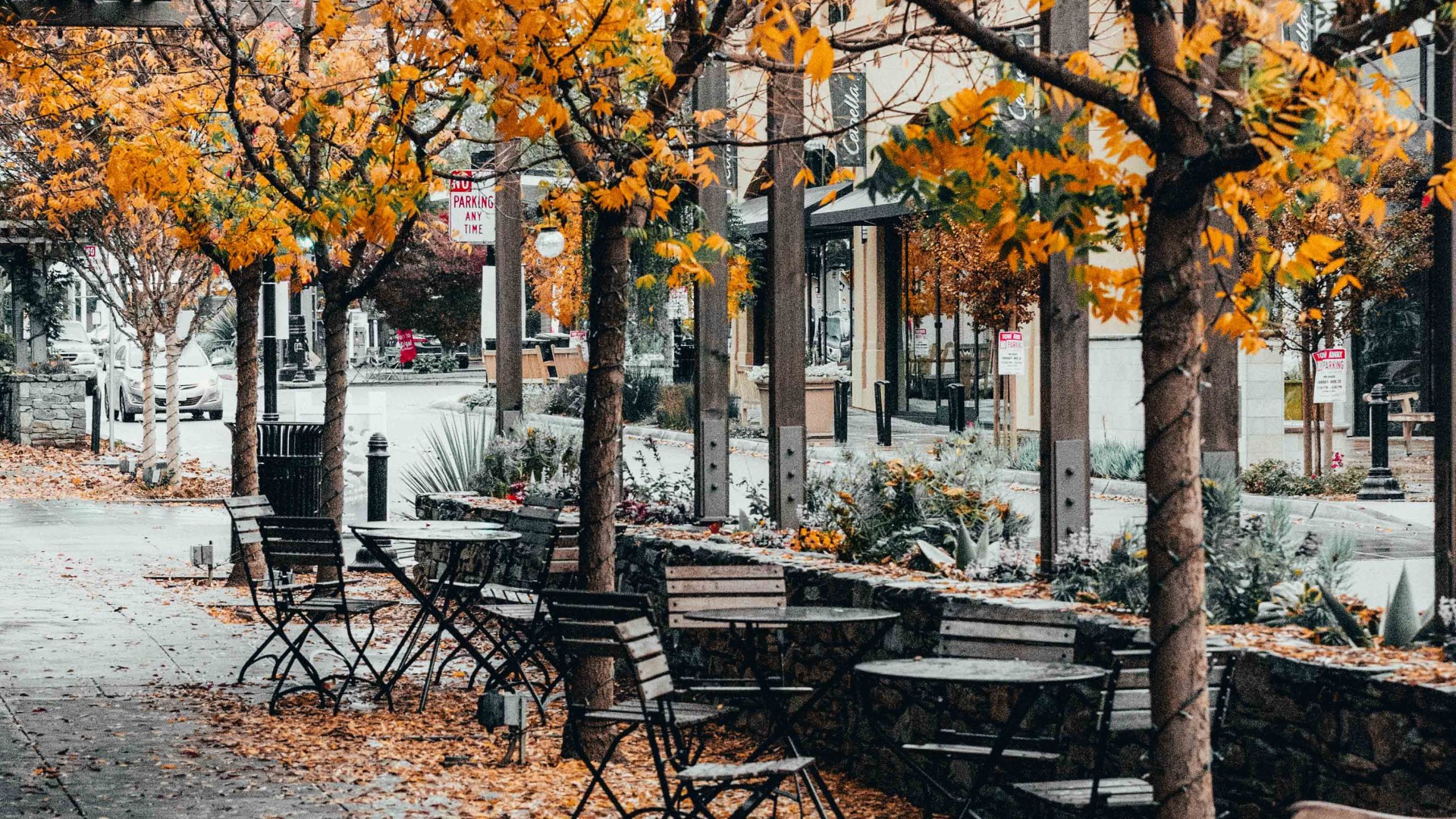 Fall scene at an empty cafe; Photo by Ian Mackey on Unsplash